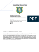 Caso Real de La Comunidad de Pacucha Sector Jose Olaya