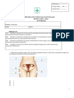 6° Ciencias Junio 2023