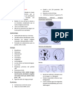 Nódulo Pulmonar