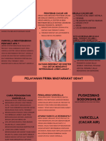 Leaflet Varicella