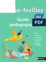 CE2 Guide