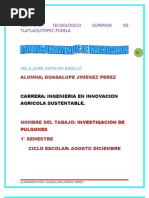 Download PULGONES by jim_escorpion SN67539345 doc pdf