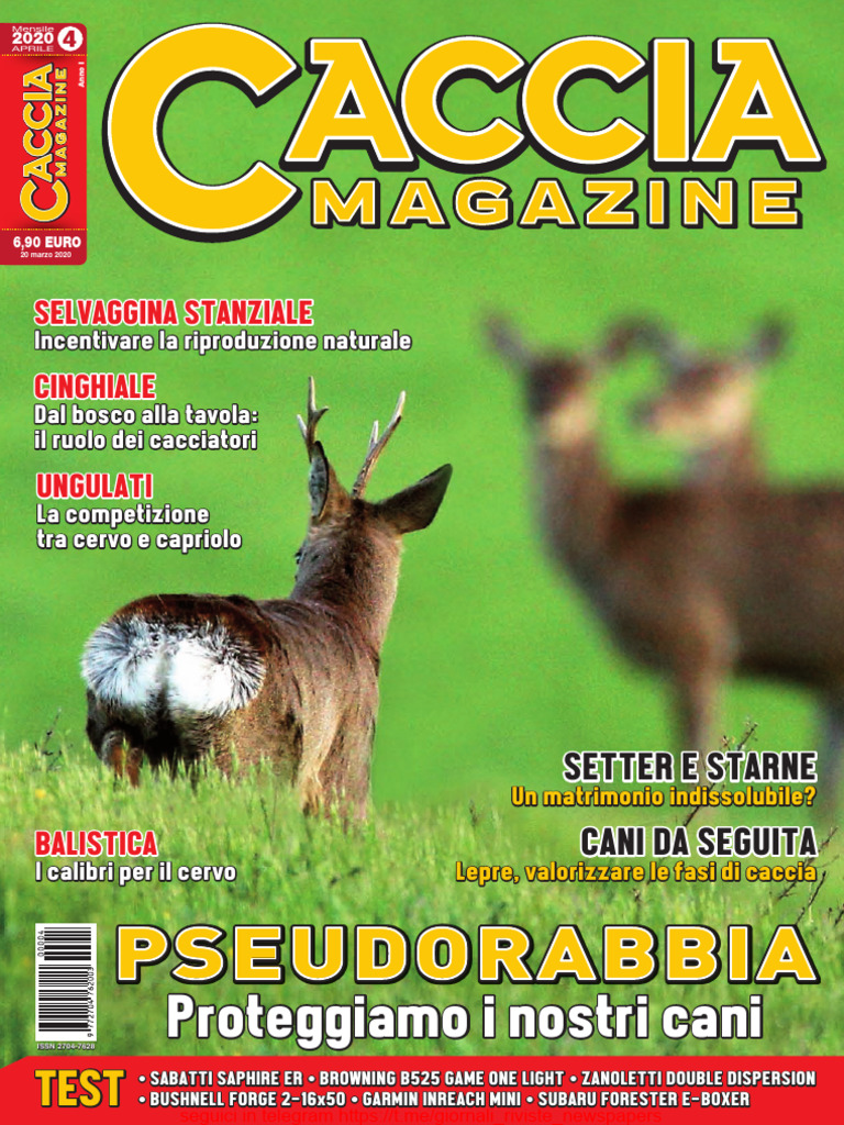 i Segugi - n°91 - Società Italiana Pro Segugio, image size:768x1024