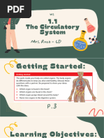 1.1 Circulatory System