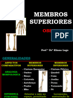 Ossos Dos Membros Superiores