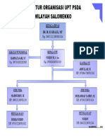 Struktur Organisasi UPT PSDA Wilayah Salomekko