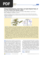 Primary Photochemistry of The Dark - and Light-Adapted States of The YtvA Protein From Bacillus Subtilis