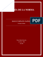 Teoría de La Norma