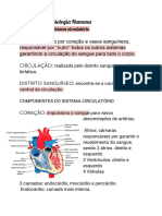 Fisiologia Humana 