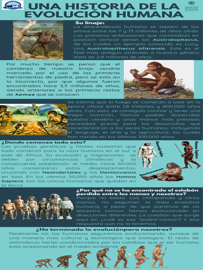 Infografia Evolucion Del Hombre Homo Evolucin Humana