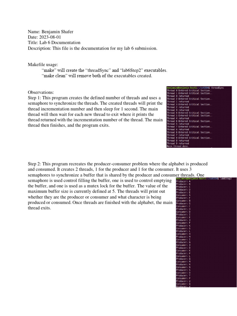 Lab 6 Documentation | PDF