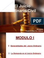 02 Presentación Juicio Ordinario - Abogado Federico Barrios Aldana