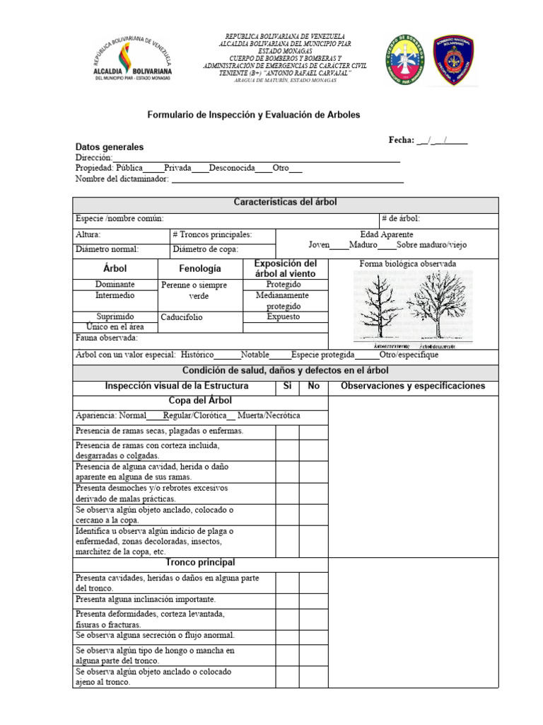 Formulario de Inspección y Evaluación de Árboles Urbanos | PDF