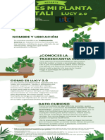 Infografía Cuidado de Plantas Ilustrativo Verde Claro