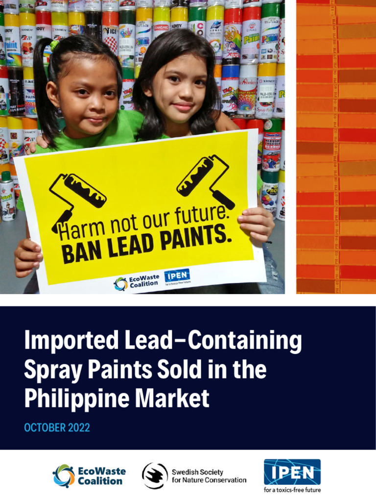 Lead Paint Report PDF