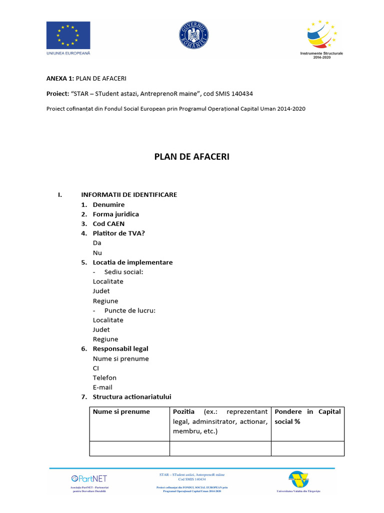 Anexa 1 Model Plan de Afaceri PDF