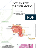 Aparato Respiratorio (1) Idjasid