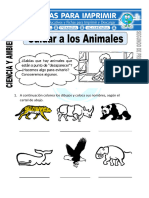 Ficha-de-Cuidar-a-los-Animales-para-Segundo-de-Primaria