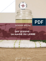 DIY Lessive - La Magie Du Lierre