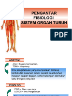Pengantar Anatomi Dasar Dan Fisiologi