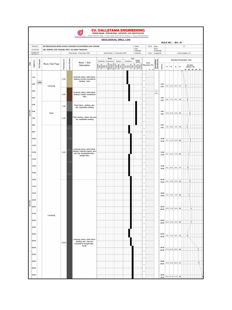 Bor Log | PDF