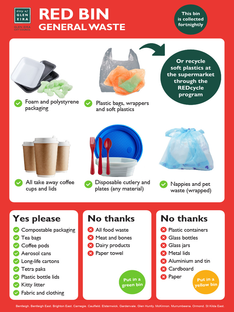 What Goes in Each Bin PDF