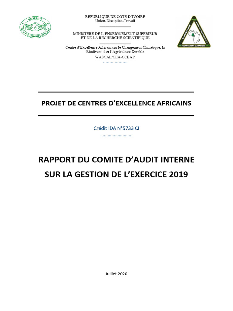 rapport-d-audit-interne-2019-cea-ccbad-pdf