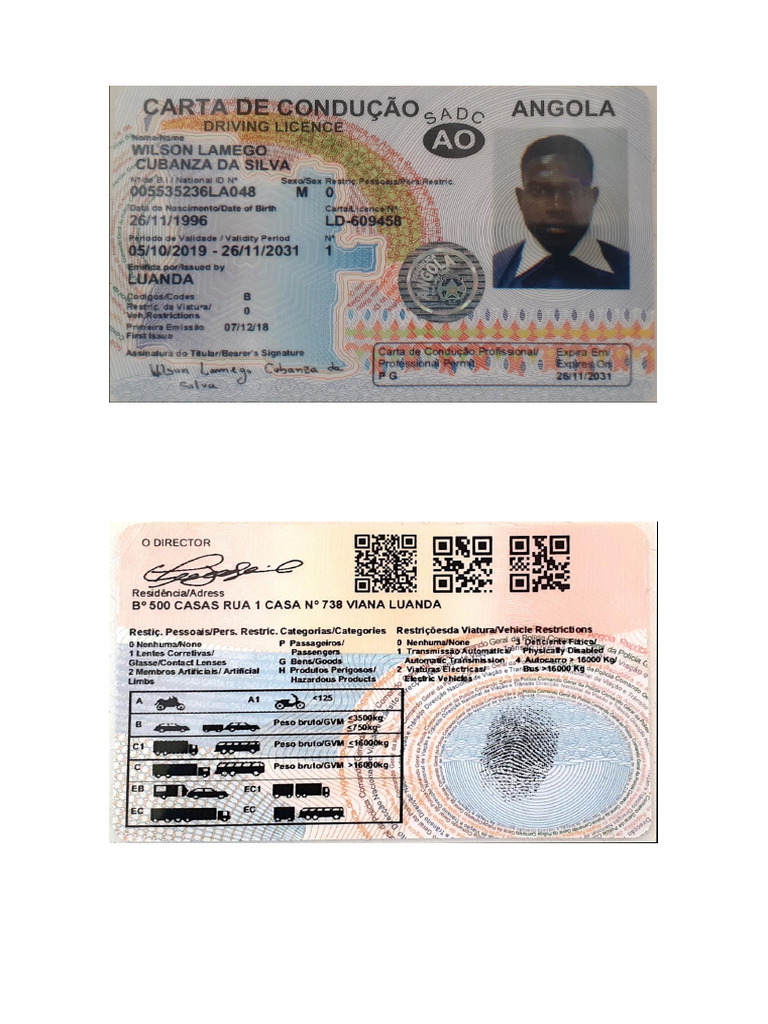 Carta de Condução PDF | PDF