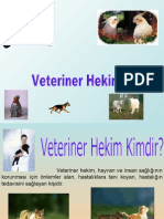 veteriner hekim