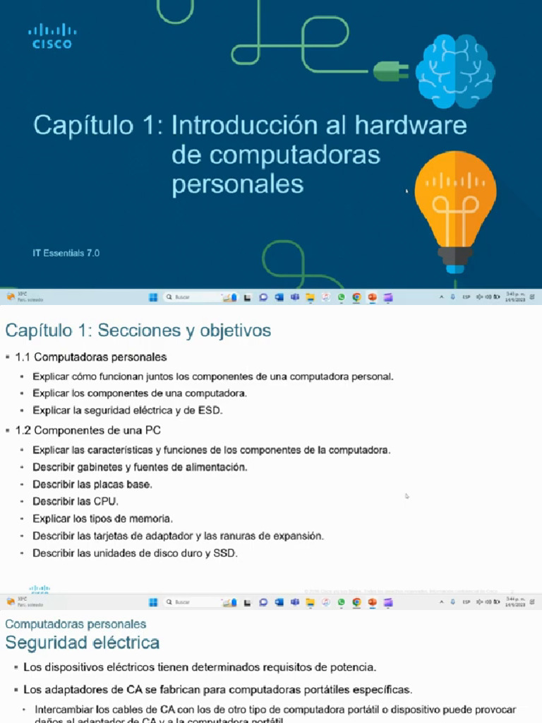 Capitulo 1 | PDF