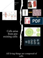 DEMO Cell Theory