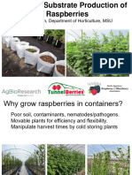 Container and Substrate Production of Raspberries Hanson