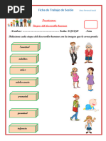 3° SESION - PS - Etapas Del Desarrollo Humano | PDF | Adultos | Vejez