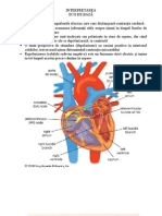 ECG