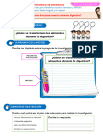 D4 A1 FICHA ¿Cómo Funciona Nuestro Sistema Digestivo