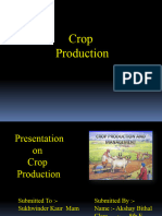 Crop Production52aaa