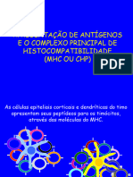 Processamento e Apresentação Antígenos (Imunologia)