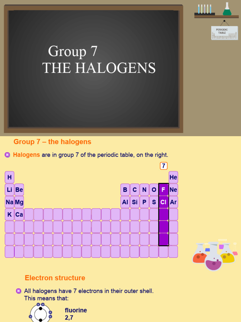 Halogen | PDF