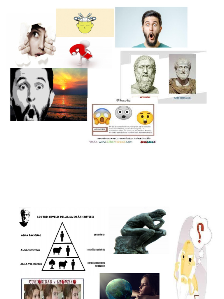 Presentación LA CURIO PDF