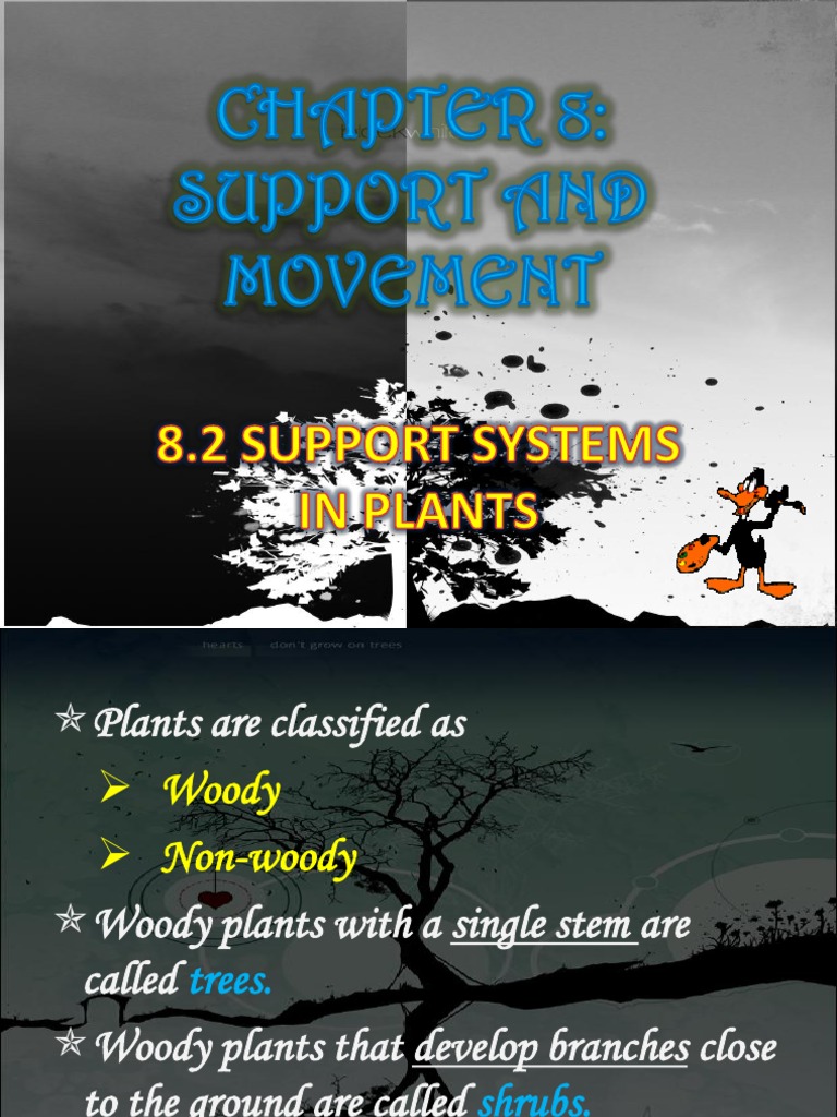 Science Form 2 Chapter 8.2 | PDF