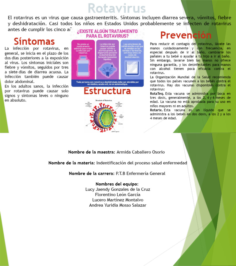 Rotavirus PDF