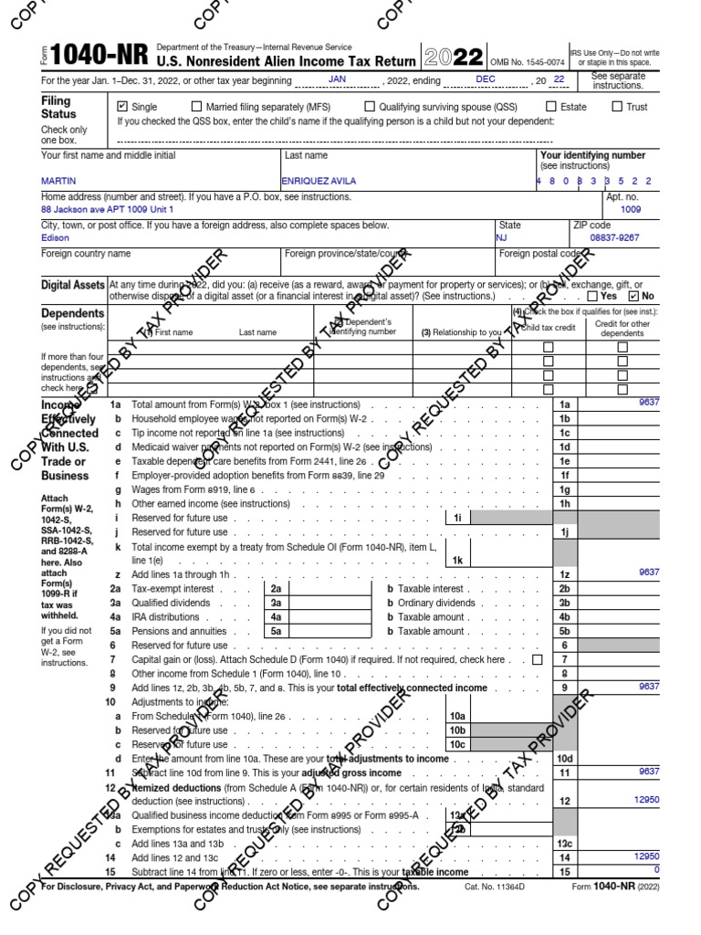 U.S. Nonresident Alien Tax Return Filing Status PDF