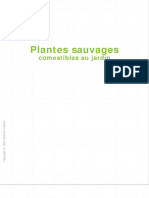 Plantes Sauvages Comestibles Au Jardin (Magnan, Didier Auburn, René)