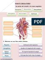 Act. Evaluativa Sistema Circulatorio