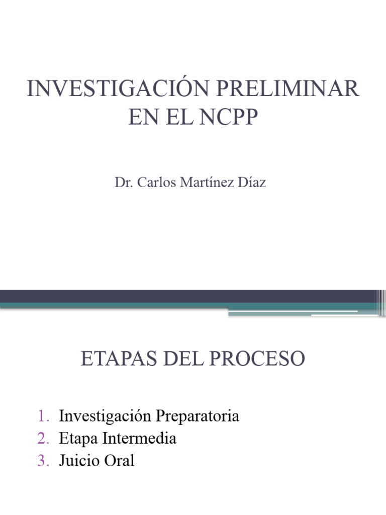 Confiscare Speciala Art 315 Lit C Ncpp Investigación Preliminar en El NCPP | PDF