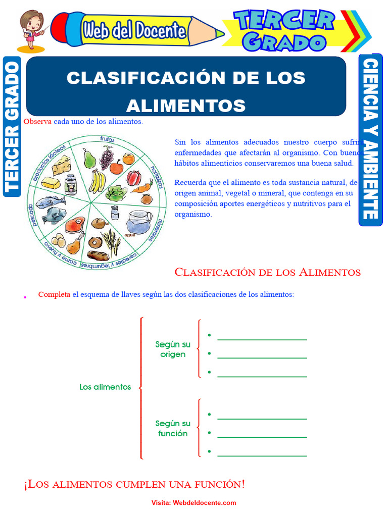 Clasificación de Los Alimentos para Tercer Grado de Primaria | PDF