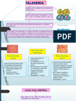 Clasificacion Talasemia