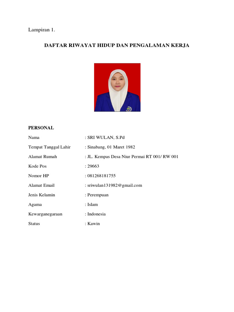 CV & Pengalaman Kerja | PDF