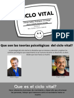 Ciclo Vital