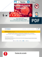 Presentación Epidemiología Dengue - Compressed